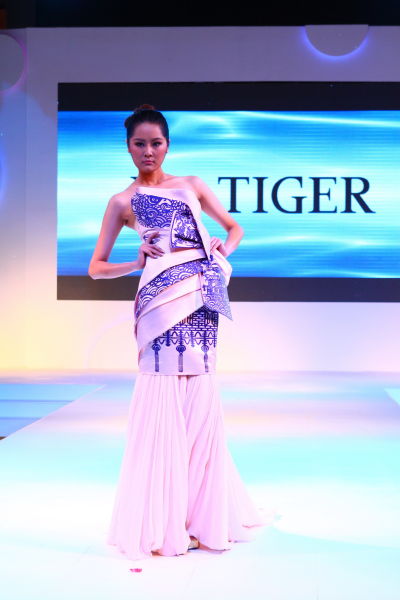 NE-TIGER�໨�ɻ���